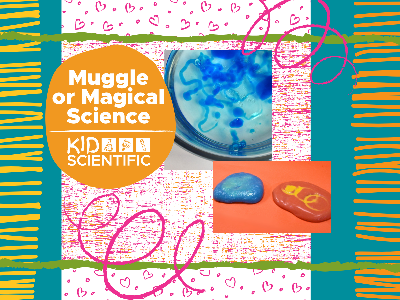 Muggle or Magical Science Workshop (4-12 Years)